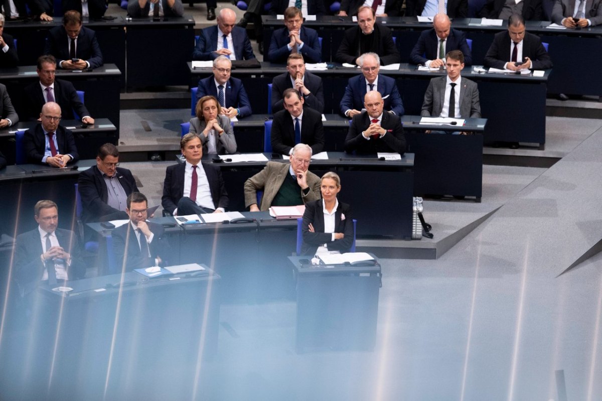 AfD im Bundestag: Mit nur einem Satz stellt SPD-Politiker die Fraktion bloß