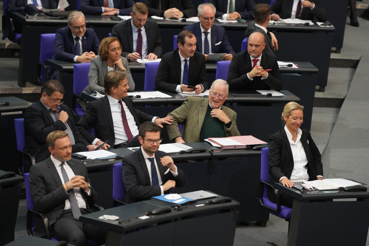 Die AfD um Alice Weidel sitzt im Bundestag direkt neben den Abgeordneten der FDP, wie Christian Lindner.