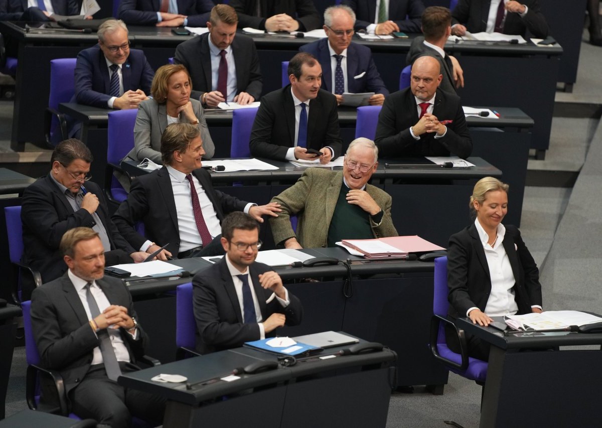 AfDBundestag.jpg
