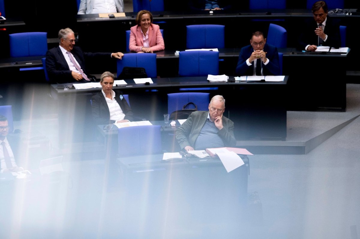 AfDBundestag.jpg