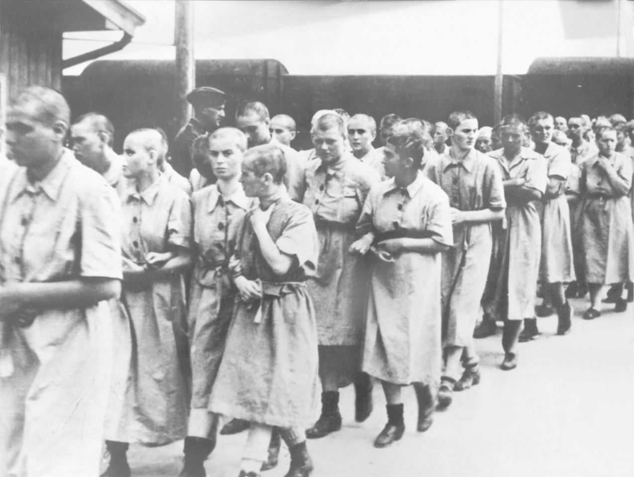 Gefangene Frauen im Konzentrationslager Auschwitz, die zur Zwangsarbeit abtransportiert werden. 