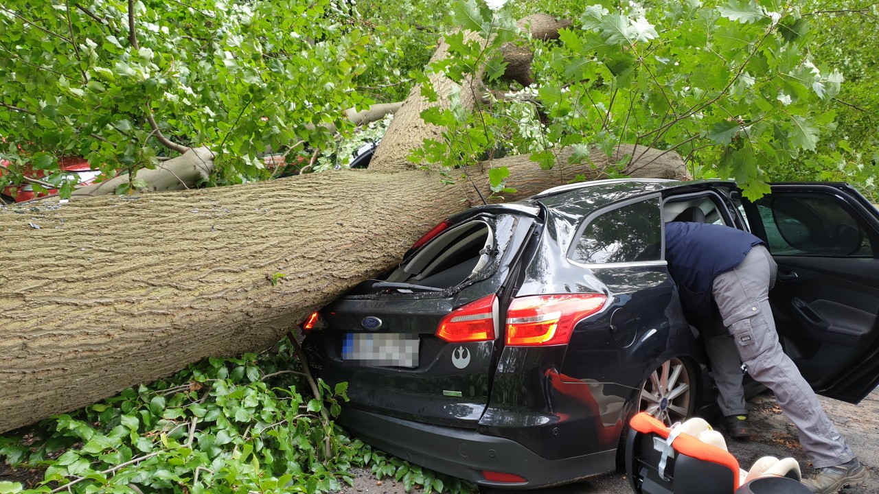 Der Baum hat mehrere Autos in Duisburg massiv beschädigt. 