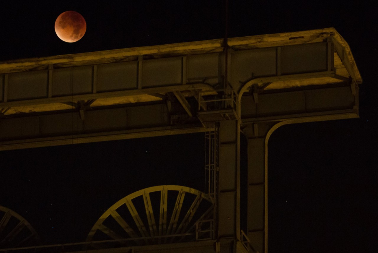 Mondfinsternis über Herten: Der Blutmond wirkte am frühen Montagmorgen besonders groß. 