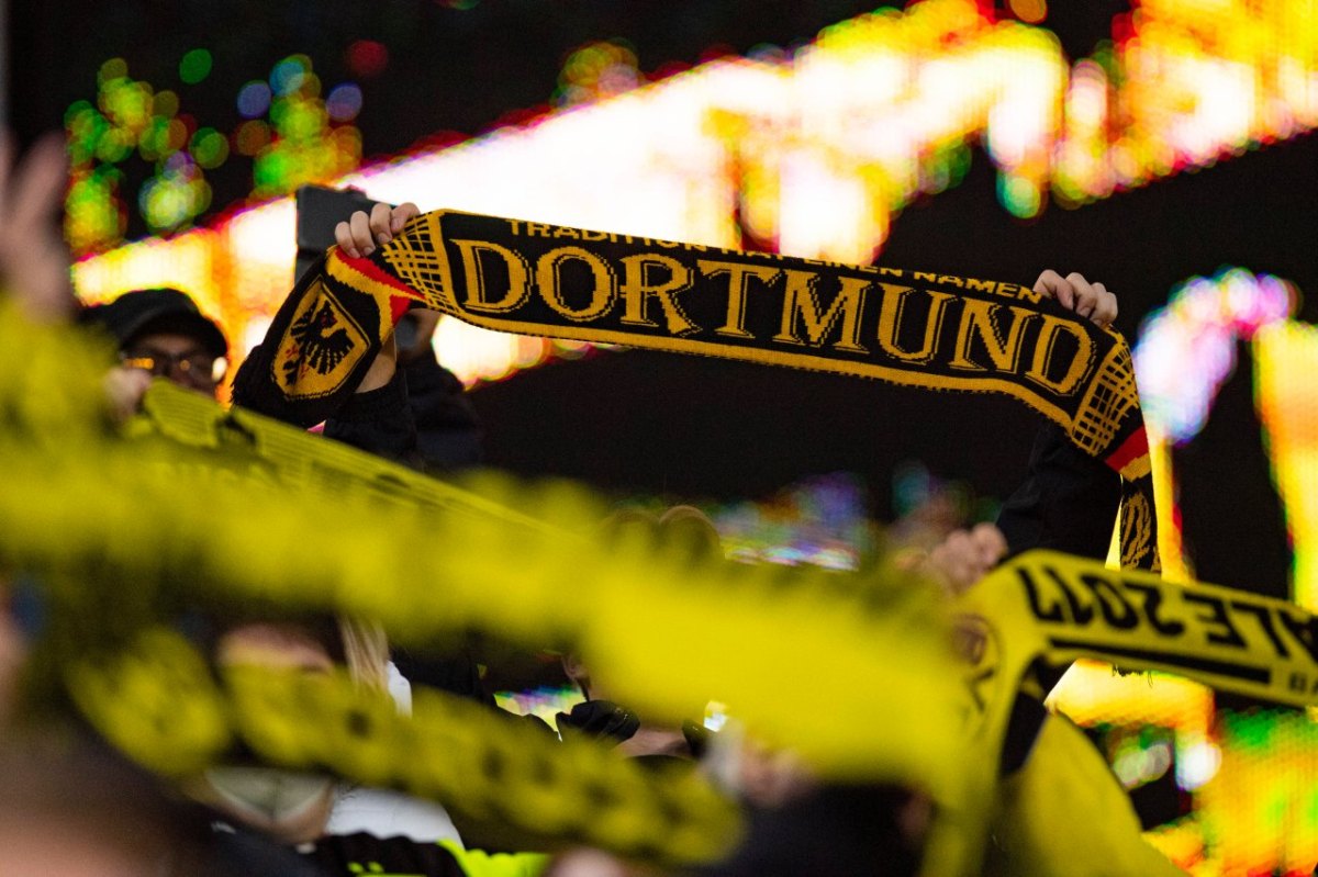 Borussia Dortmund Fans