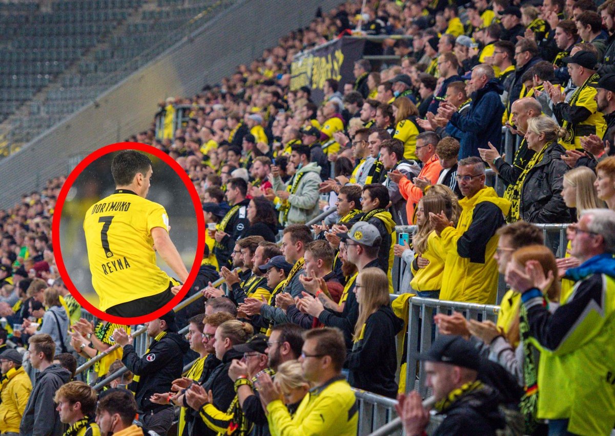 Borussia Dortmund Gio Reyna.jpg