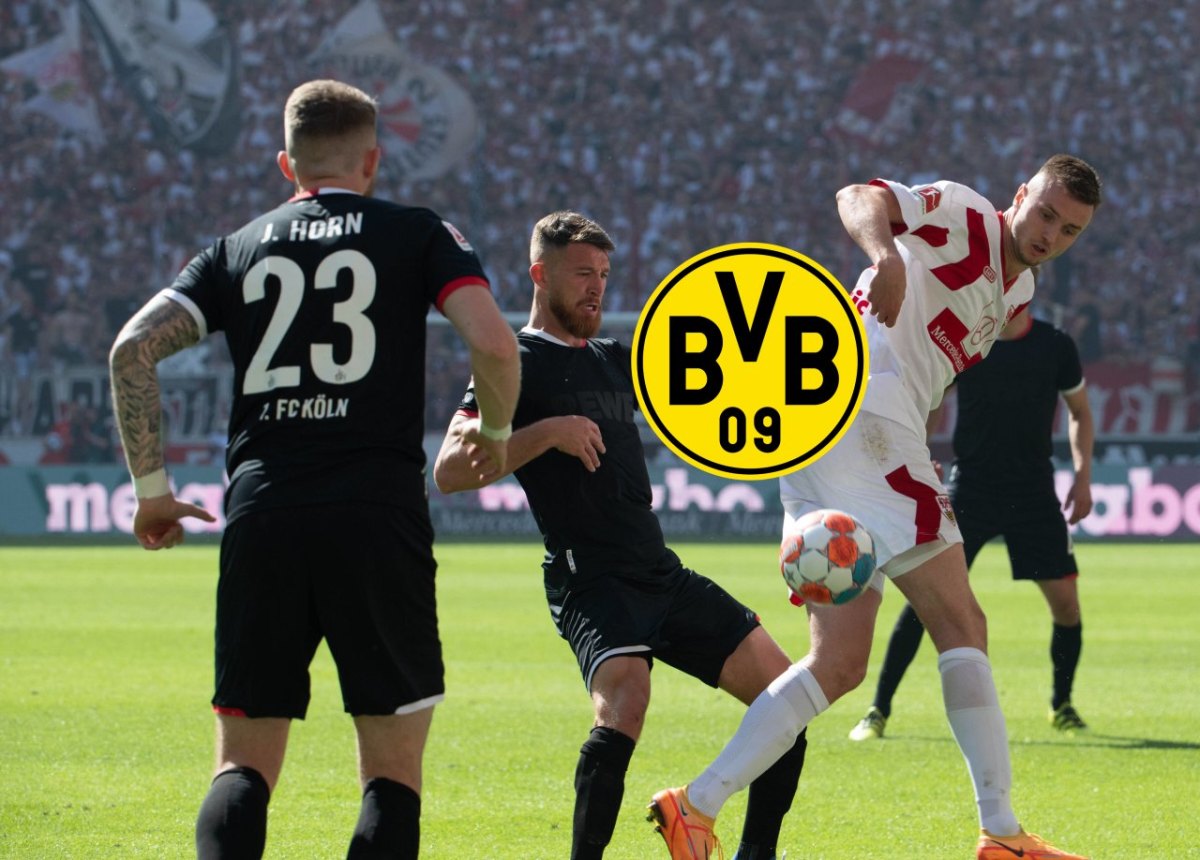 Borussia Dortmund Özcan.jpg