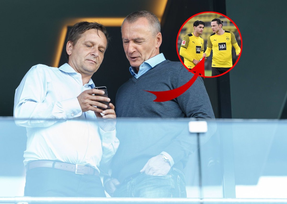 Borussia-Dortmund-Schulz