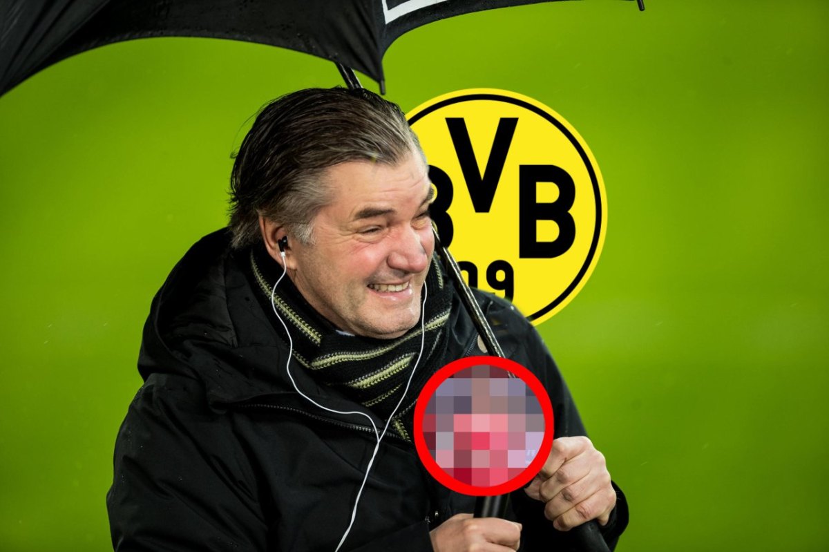 Borussia-Dortmund-Talent