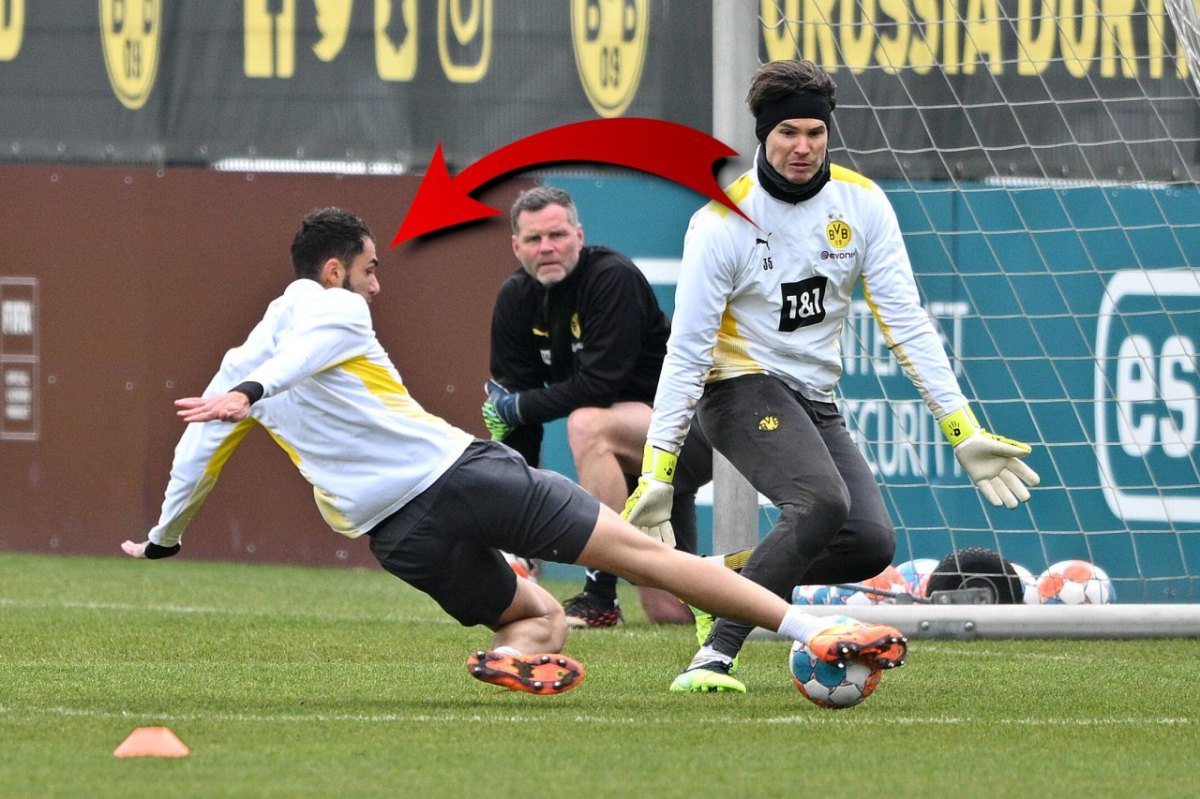 Borussia Dortmund Ukraine.jpg