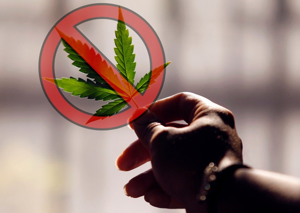 Cannabis: Ampel-Drogenbeauftragter redet an Führerschein-Problem vorbei