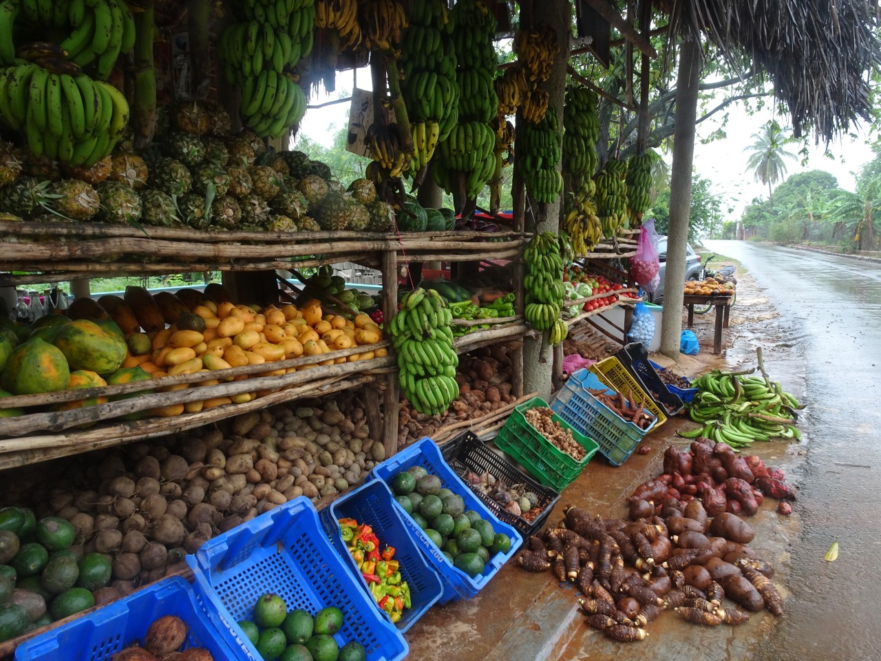 Die „Casa de las Frutas“: Draußen verkauft Inhaber Maradonna Obst, drinnen Souvenirs und Urlaubsandenken.