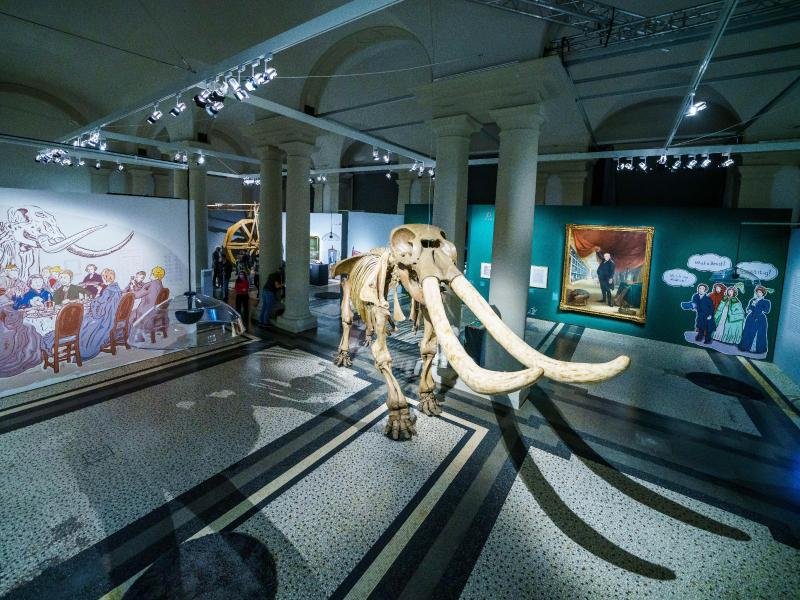 Das Skelett des Mammuts "Peale's Mastodon" ist Mittelpunkt der Ausstellung "American Heiner" im Landesmuseum Darmstadt.