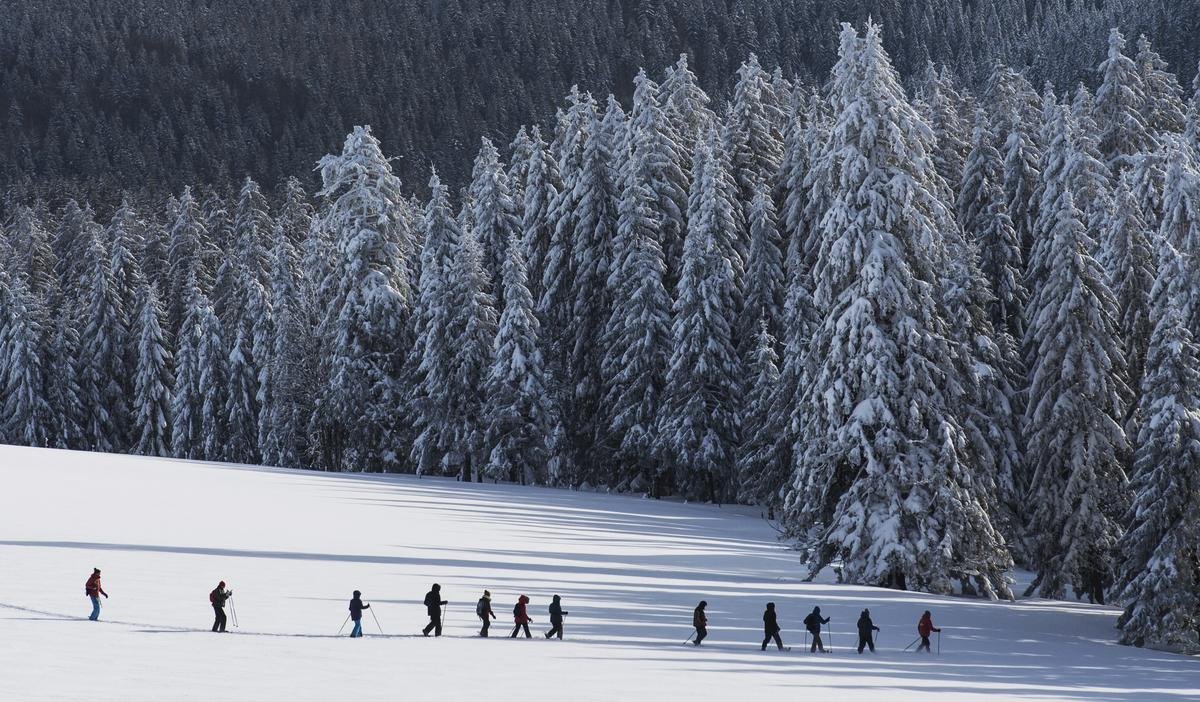 Das ist es, was Schneeschuhwanderer an ihrem Sport schätzen. Foto: Patrick Seeger/dpa/dpa