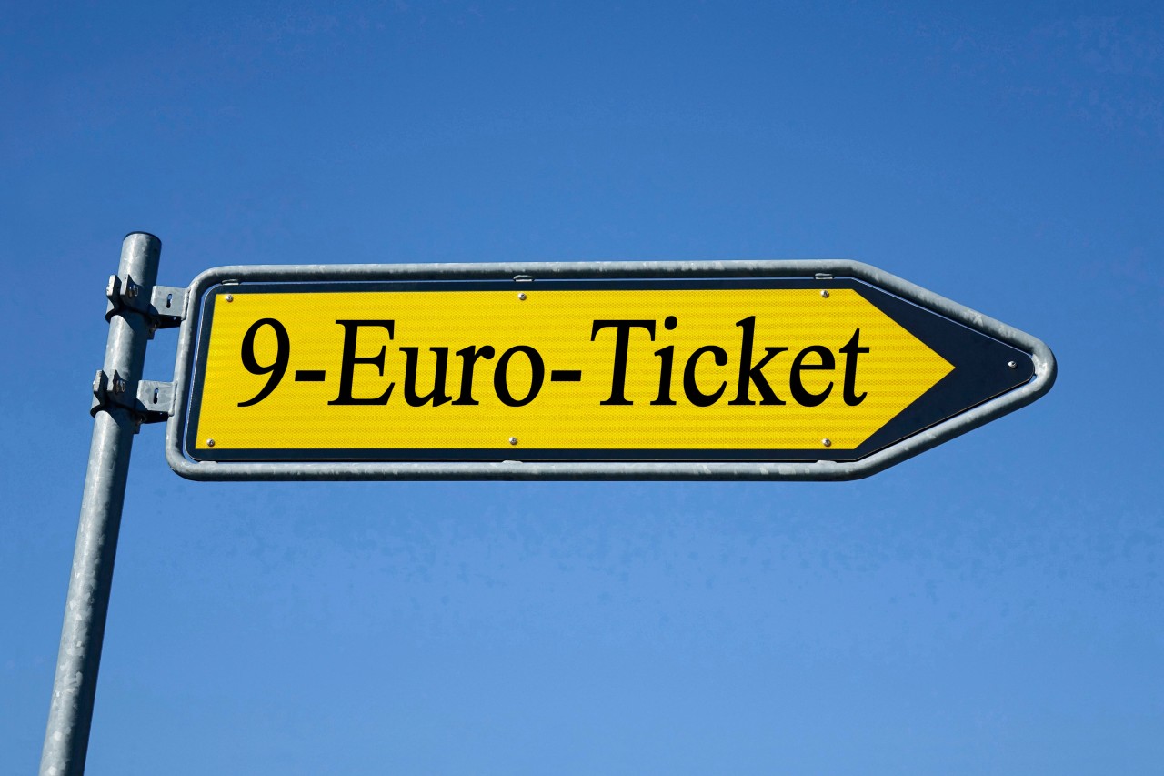 Deutsche Bahn: Das 9-Euro-Ticket soll kommen – doch es bringt nicht nur Vorteile mit sich. (Symbolbild)