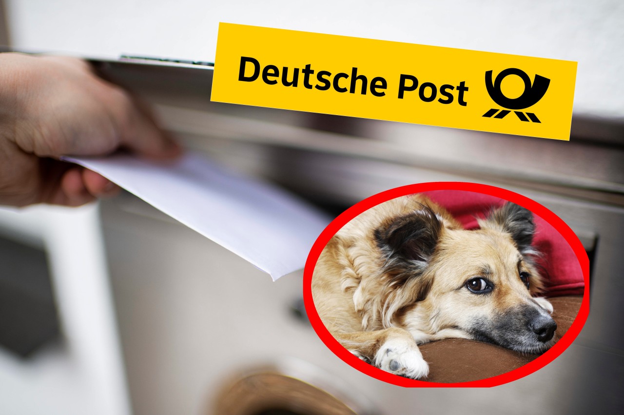 Eine Deutsche Post-Kundin ist stinksauer. Sie erwartete Medikamente für ihren Hund. (Symbolbild)
