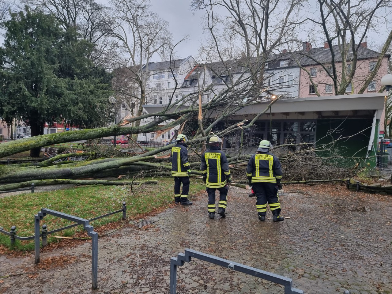 In Dortmund ist ein Baum auf den „Grünen Salon“ gekracht.