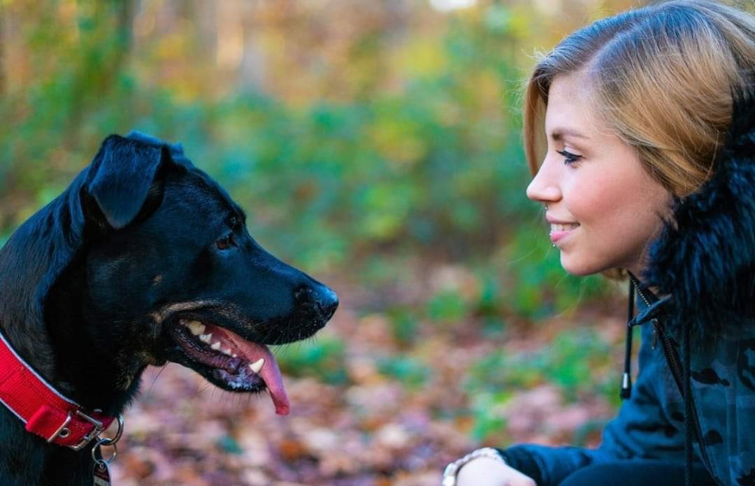 Duisburg: Hündin Bailey und Besitzern Jasmin Jaculy sind seit über vier Jahren ein Team. 