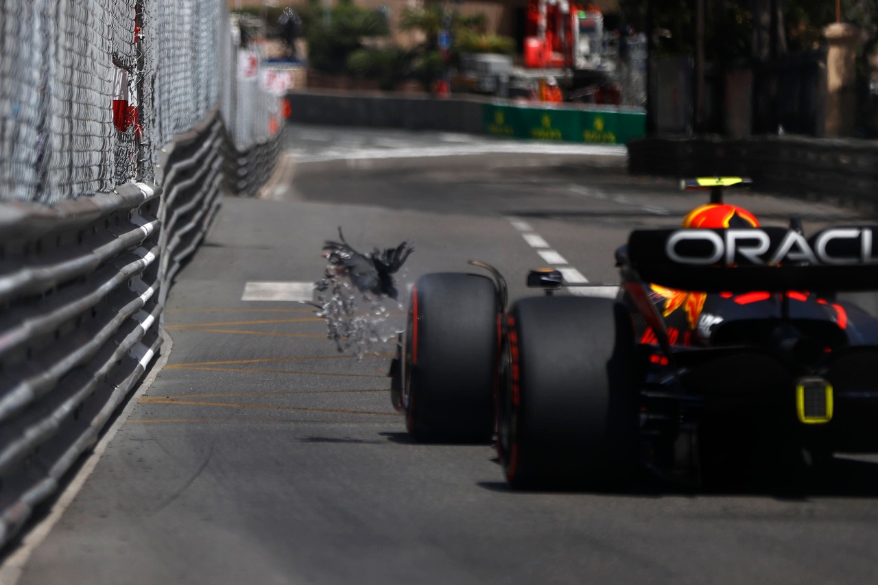 Formel 1: Fieser Zusammenprall! Pérez trifft eine Taube.