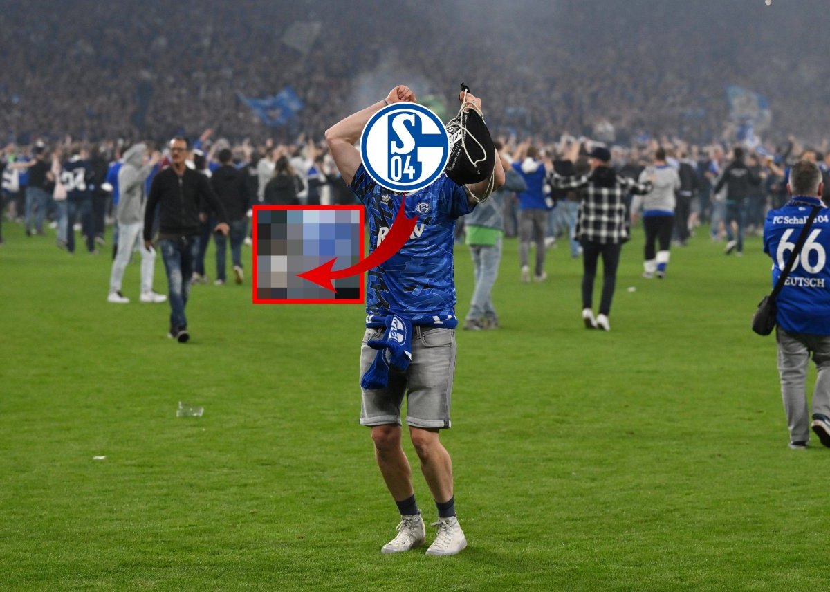 FC-Schalke-04-Fanrad