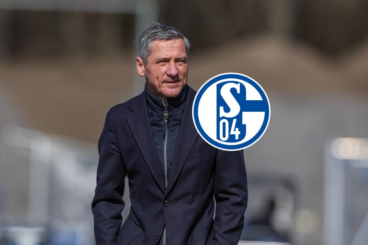 FC Schalke 04 Sponsor.jpg