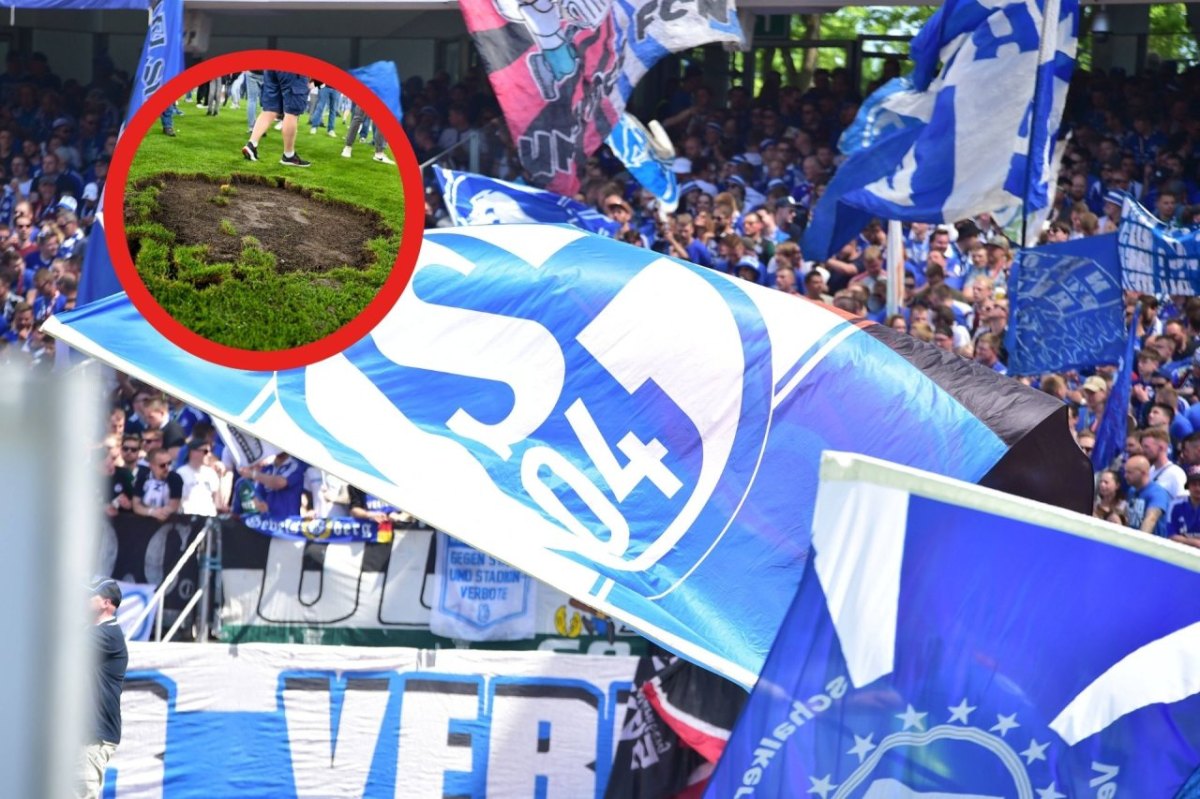 FC Schalke 04 rasen.jpg