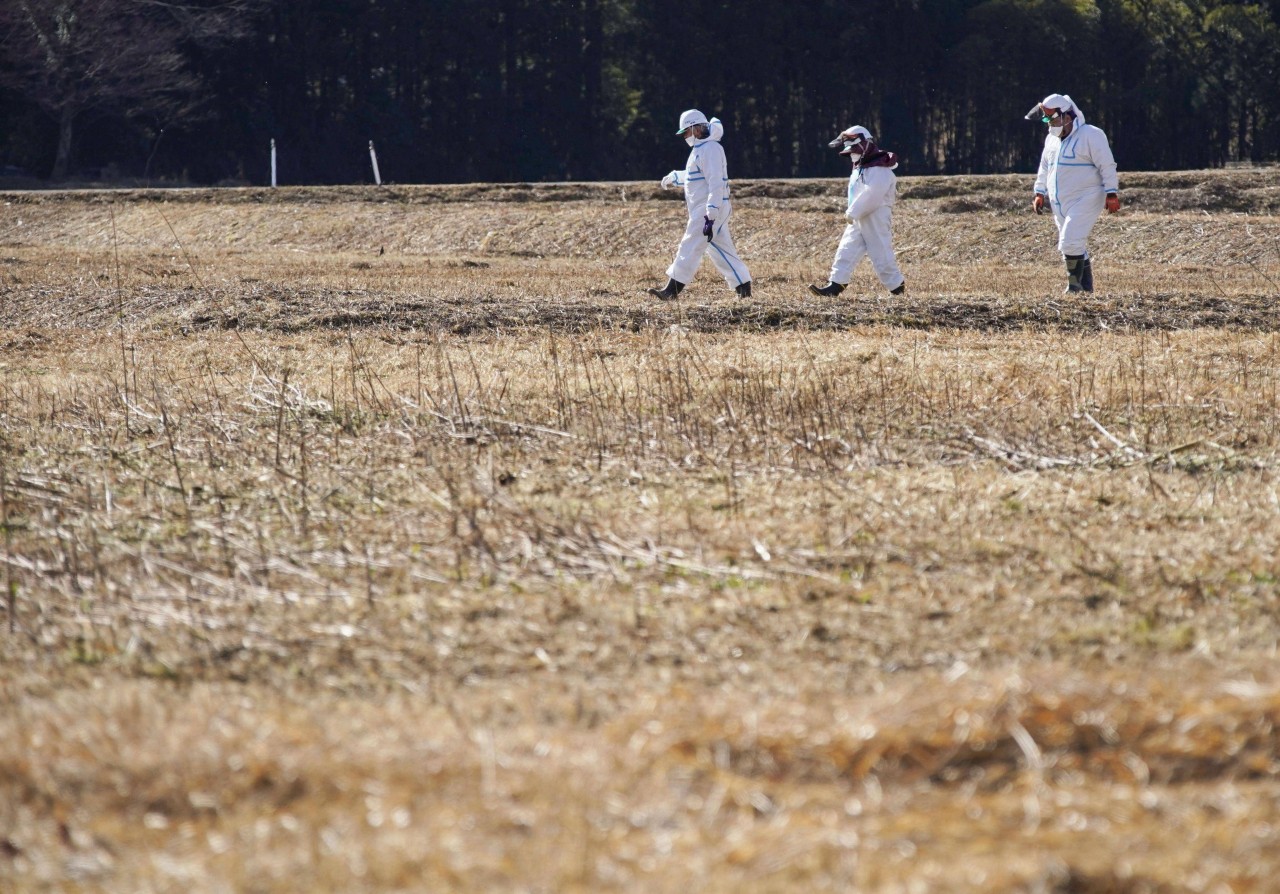 Wissenschaftler haben in der Nähe von Fukushima einen unglaublichen Fund gemacht!