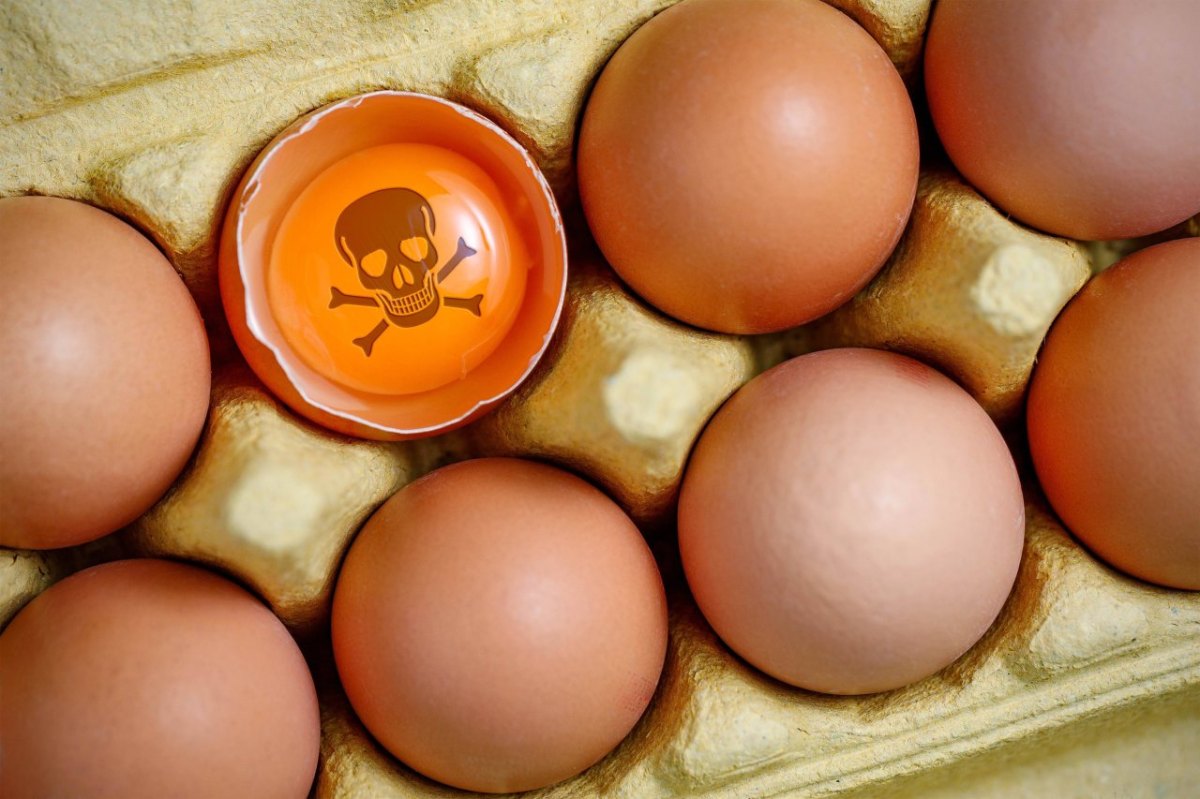 Gefährliche Eier.jpg
