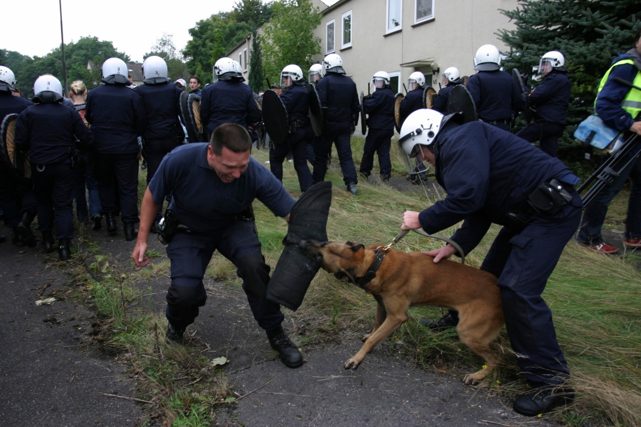 Ein Polizei-Hund biss einen Mann bei einem Einsatz in Gelsenkirchen. (Symbolbild)