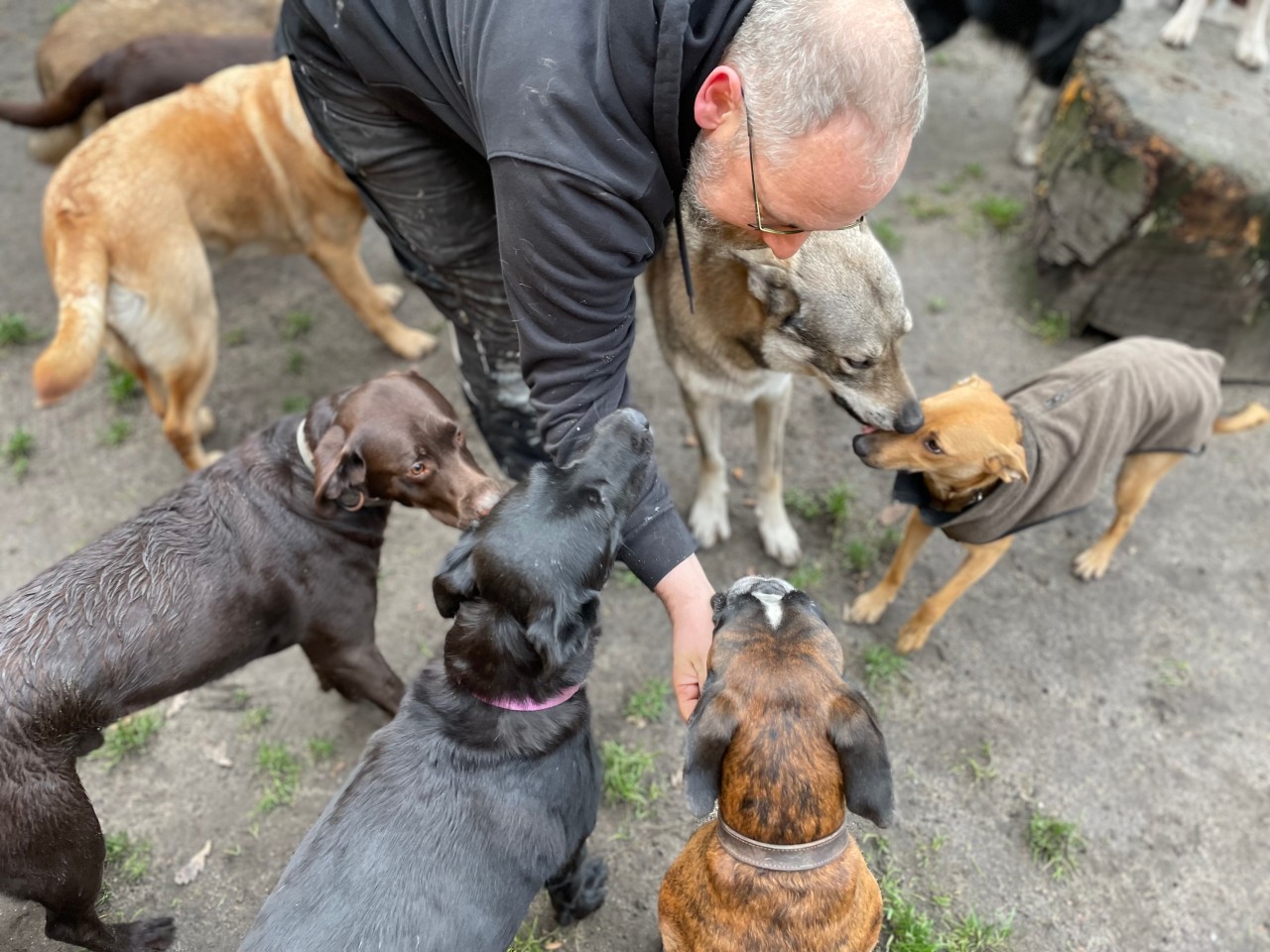 In Gelsenkirchen weiß Hundetrainer- und Psychologe Ralph Brandt ganz genau, was die Vierbeiner brauchen. 