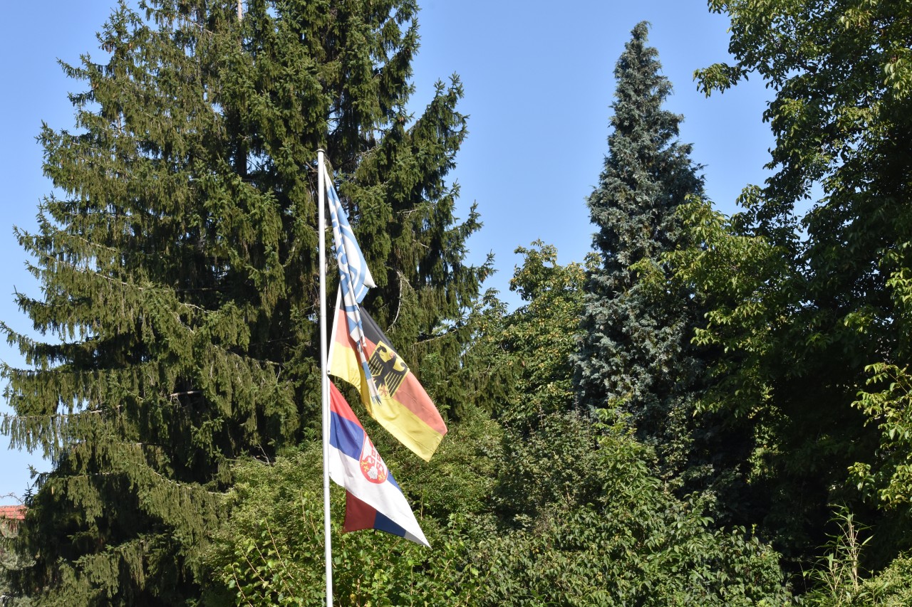 Willkommen in Gelsenkirchen-Schalke.