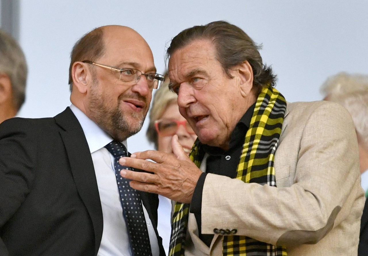 Gerhard Schröder, hier mit BVB-Schal, könnte seine Ehrenmitgliedschaft verlieren.