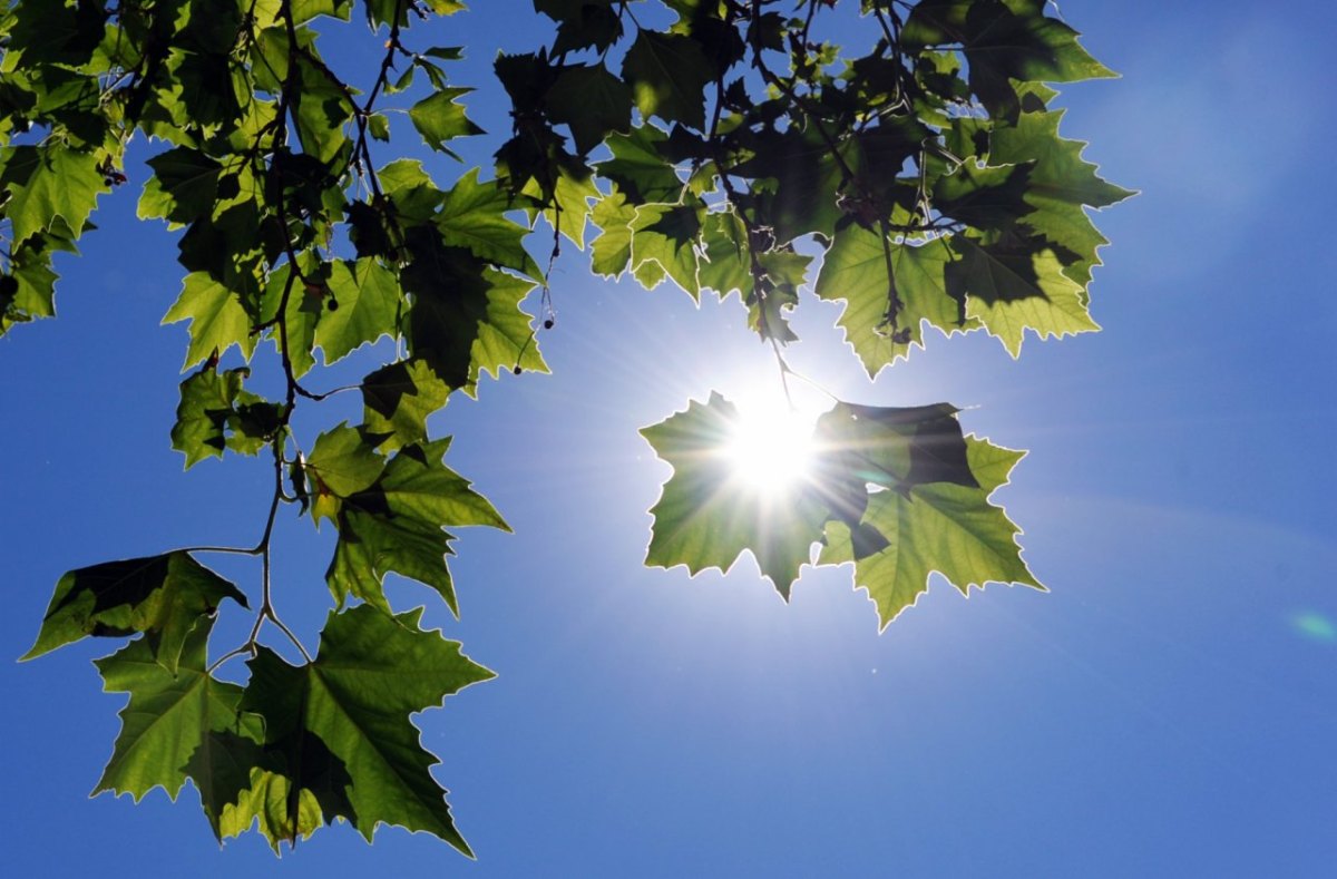 Gesundheit Sonnenstich.jpg