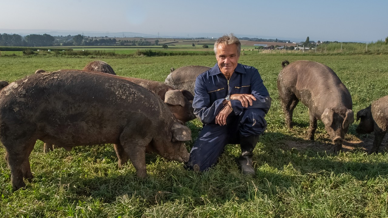 Schauspieler Hannes Jaenicke lernt in seiner ZDF-Doku das Schwein von einer neuen Seite kennen.