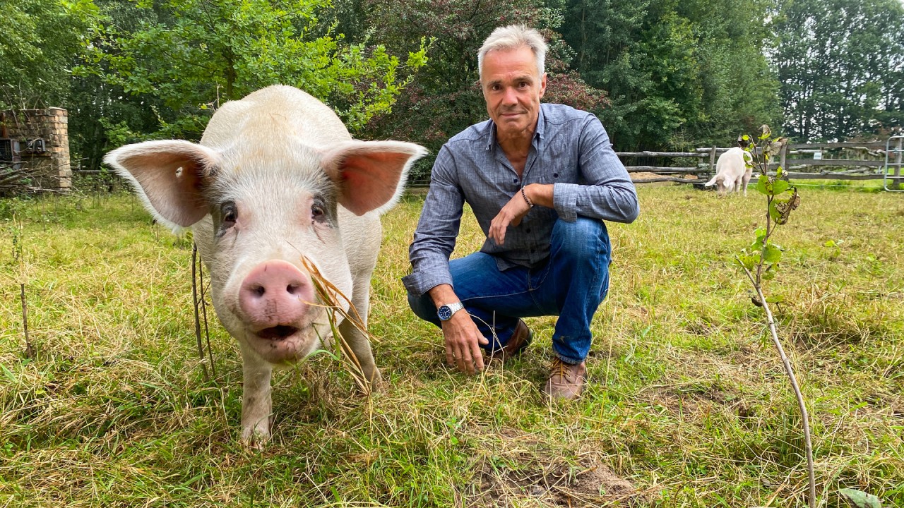 Schauspieler Hannes Jaenicke ernährt sich bereits seit vielen Jahren vegetarisch.