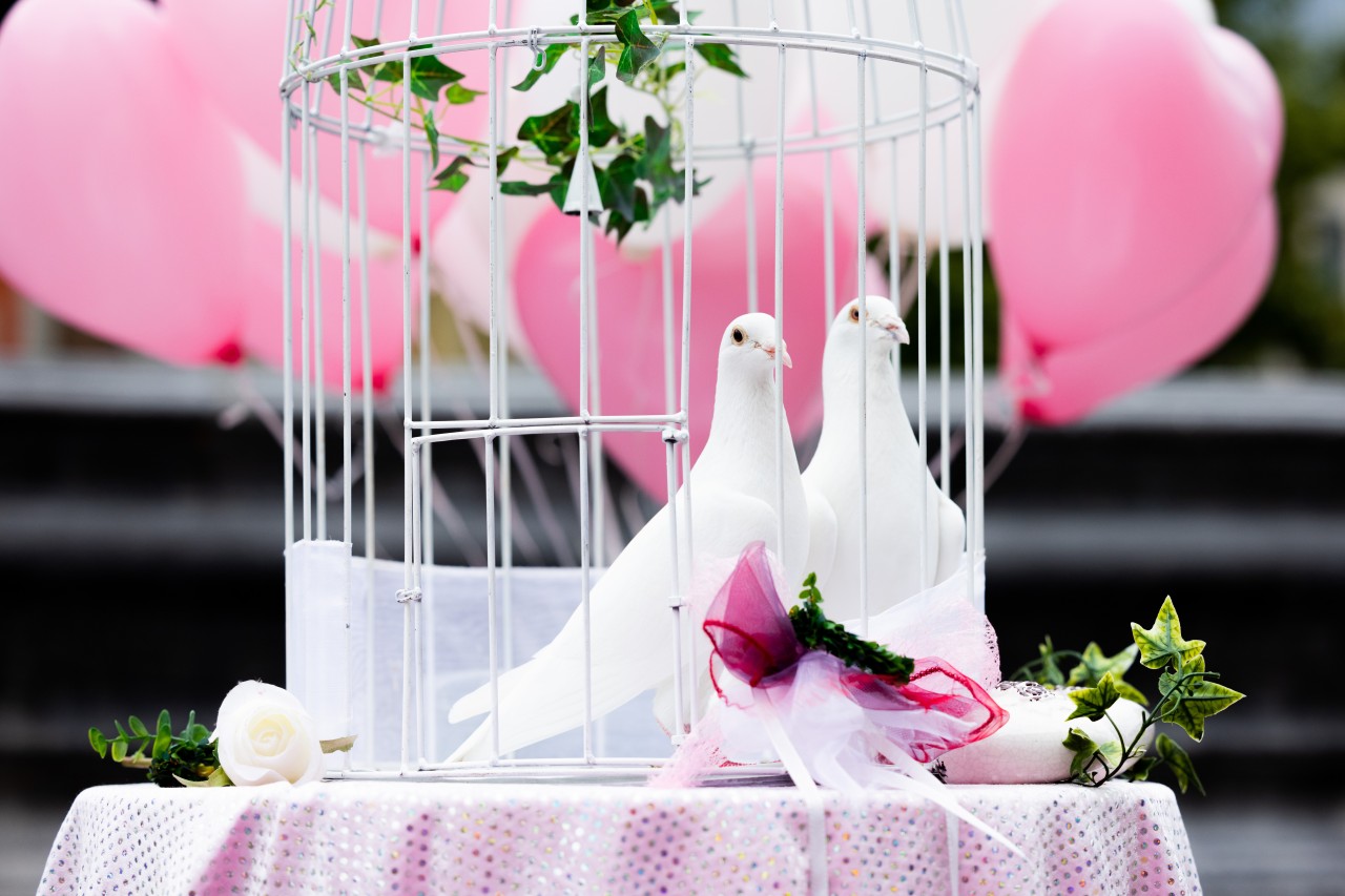 Nach der Hochzeit holte eine Braut zu einer krassen Aktion aus. (Symbolbild) Nach der Hochzeit holte eine Braut zu einer krassen Aktion aus. (Symbolbild)