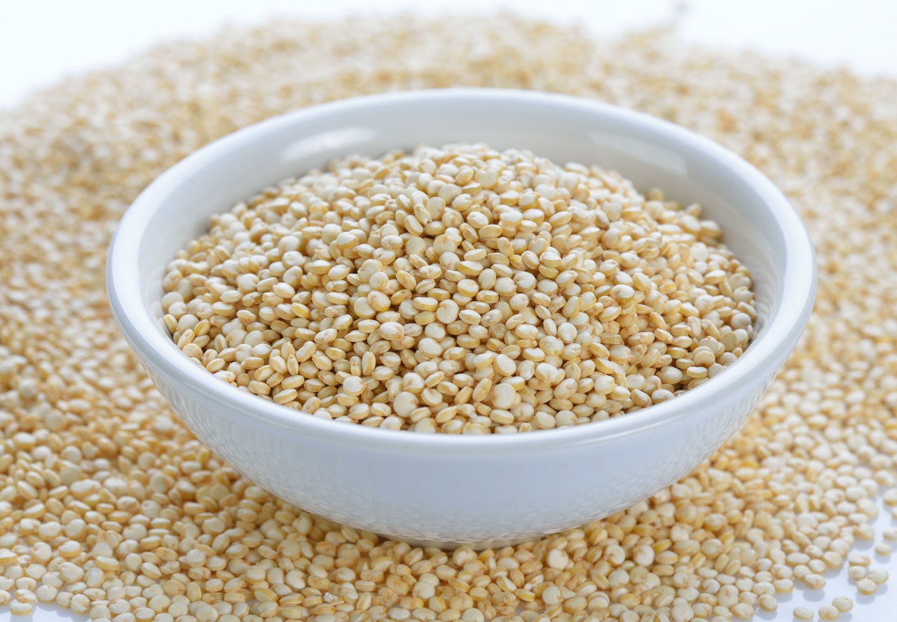 Quinoa gehört für viele zur veganen Ernährung dazu. Auch im Hundefutter wird die Pflanzenart verarbeitet. 