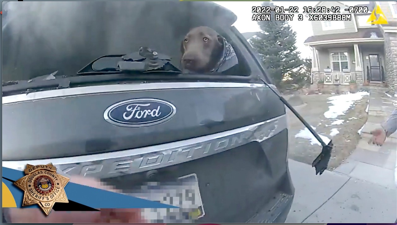Ein Bild aus der Bodycam des Douglas County Sheriffs Michael Gregorek zeigt einen Hund auf dem Rücksitz eines Fahrzeugs in Castle Rock.