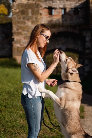 Du solltest wissen, wie du in verschieden Situationen mit dem Hund umgehst. (Symbolbild)