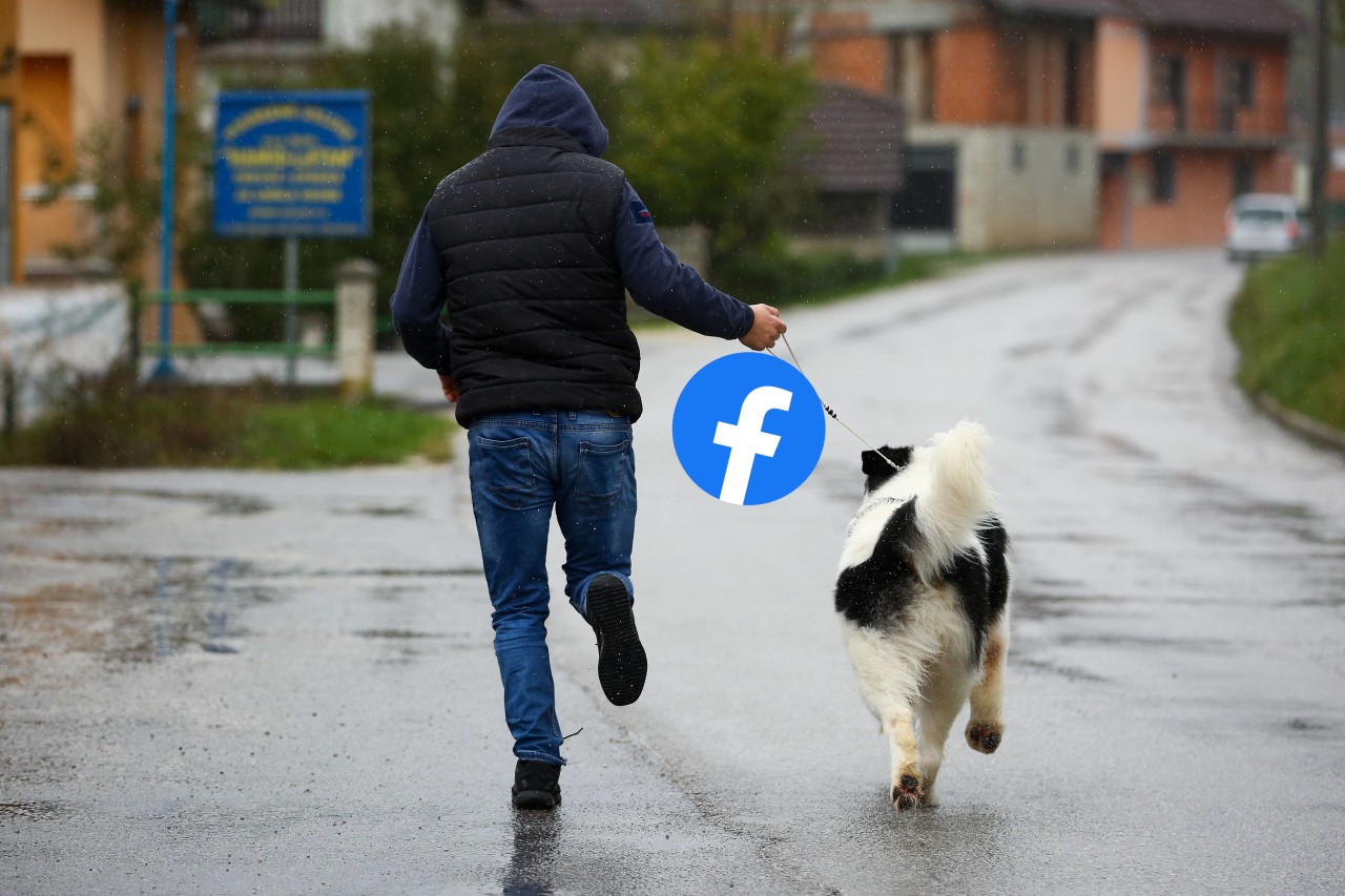 Hund in Essen: Ein Mann staunt nicht schlecht wie viele "Hunde-Experten" es bei Facebook gibt. (Symbolbild)