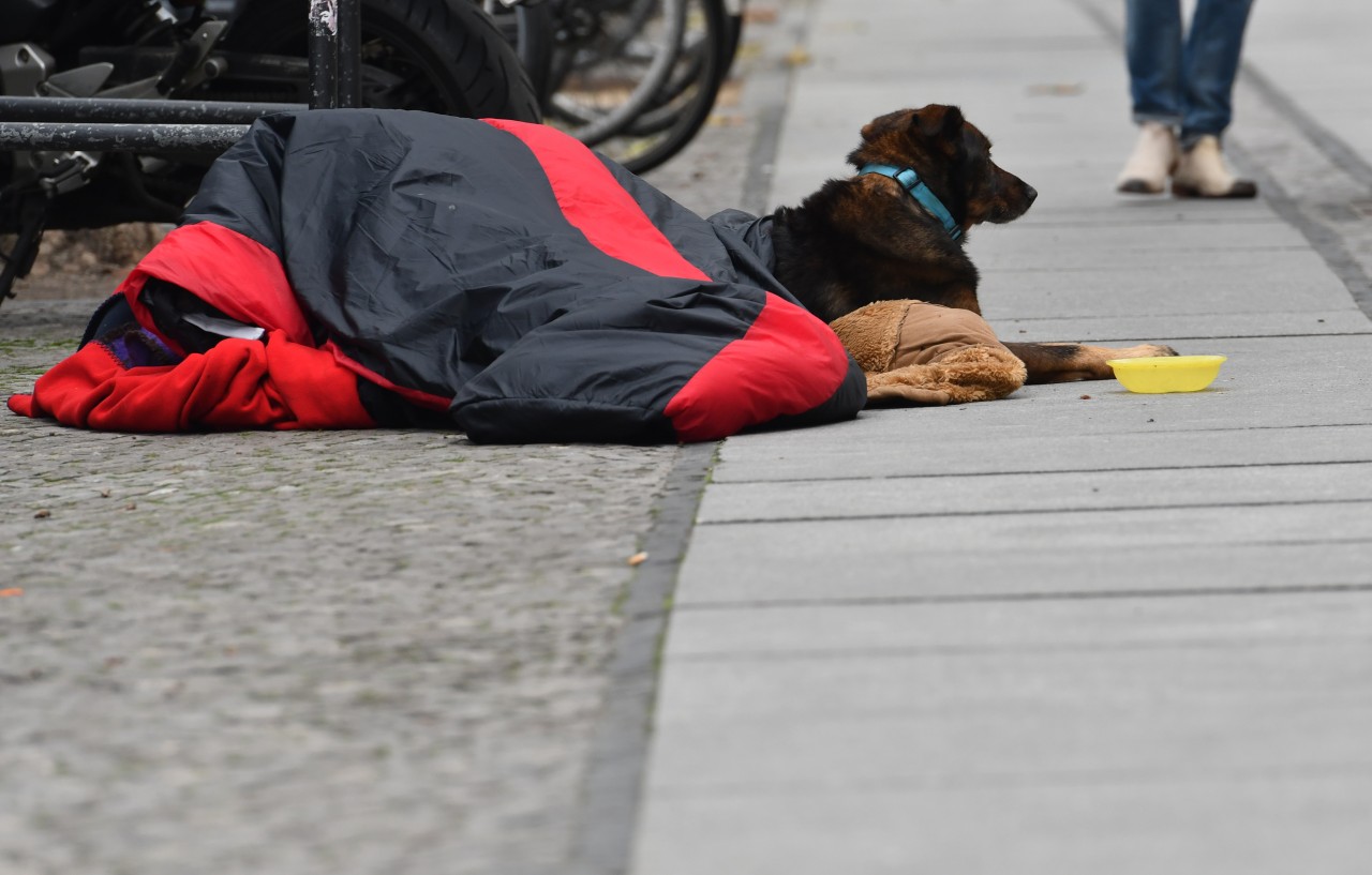 Hund in Essen von Obdachlosem geklaut. Die Polizei sucht Zeugen. (Symbolbild)