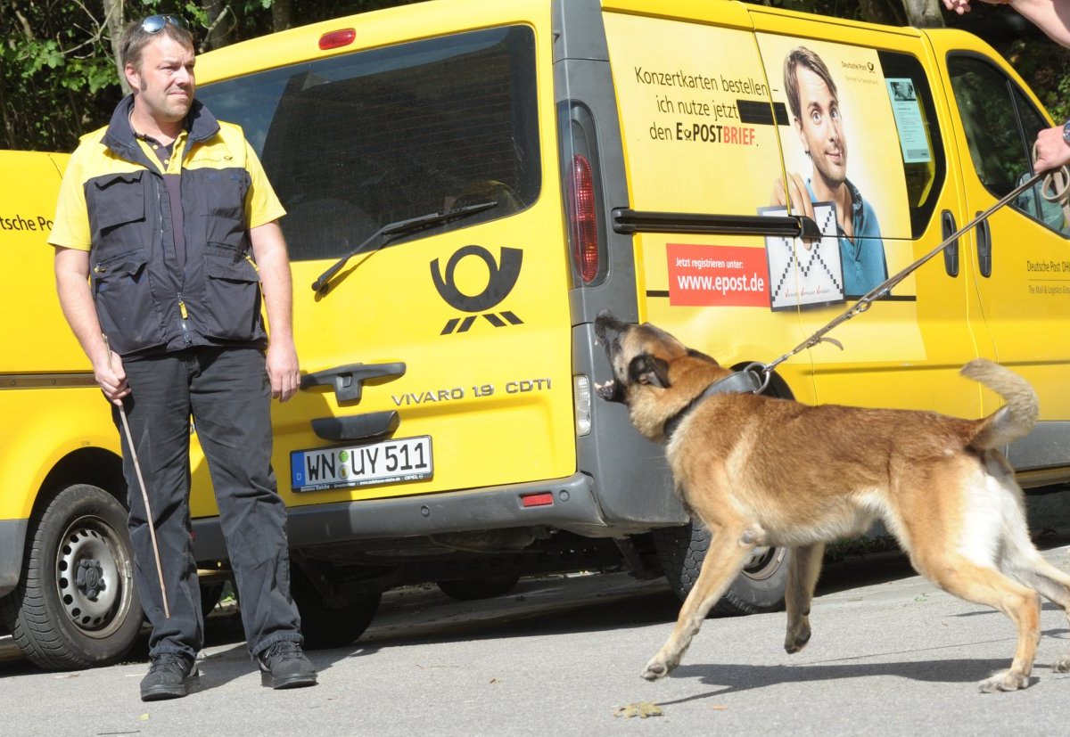 Hund-Postbote.jpg