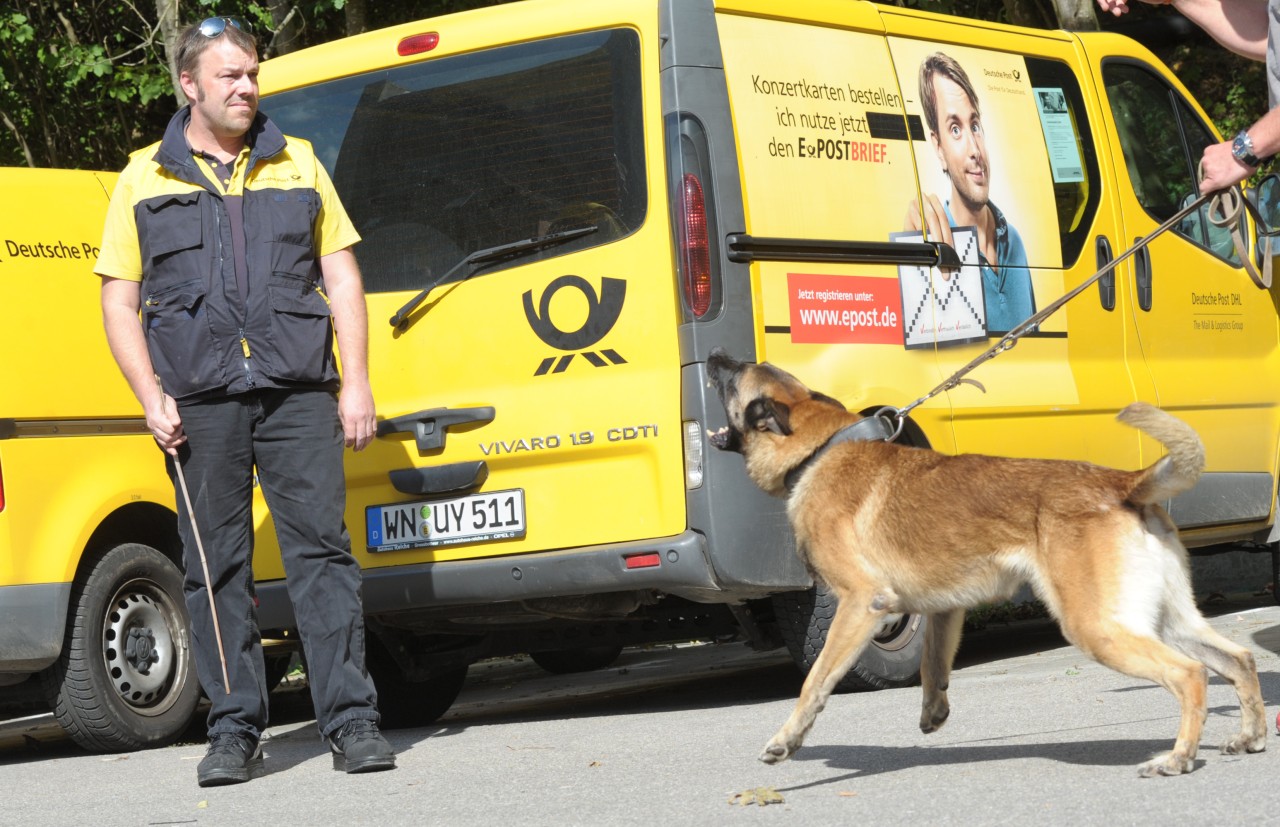 Als ein Postbote in England einen Hund tritt, ist die Aufregung groß. Doch dahinter steckt mehr. (Symbolfoto)
