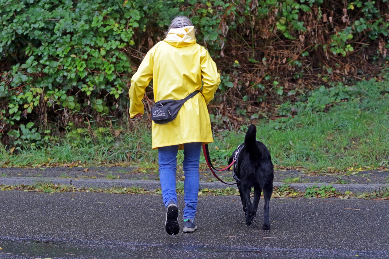 Hund in Gelsenkirchen: Eine Frau hatte während des Spaziergangs mit ihrem Tier eine alarmierende Begegnung. (Symbolfoto)