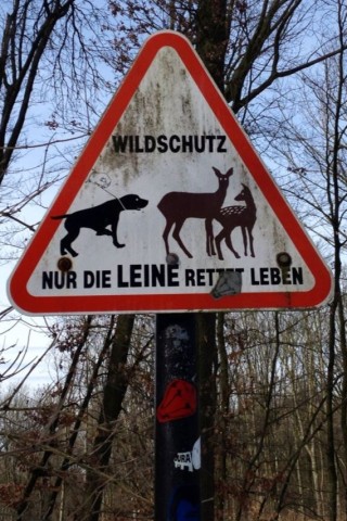 "Nur die Leine rettet Leben" - das gilt für Rehe wie für Läufer.