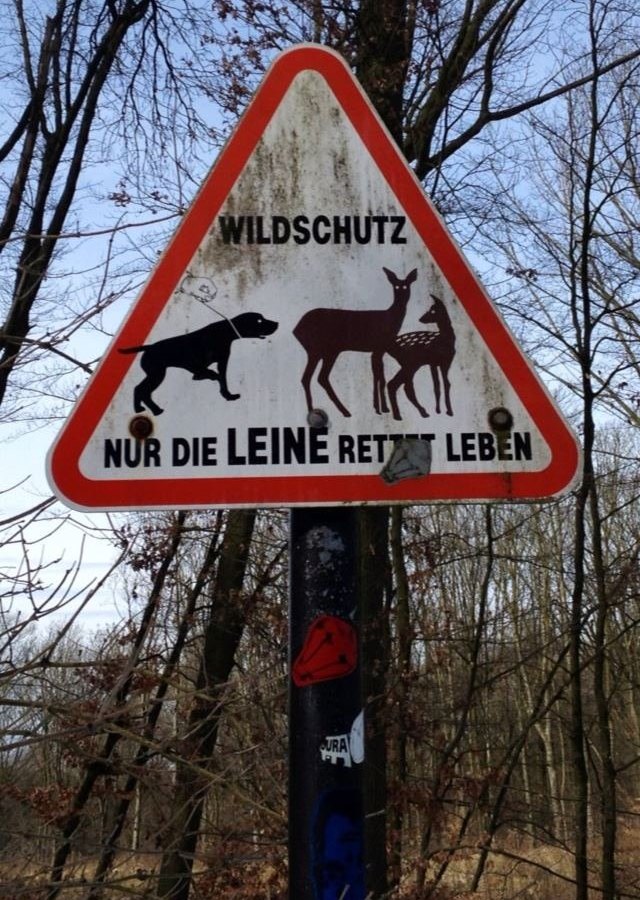 Hunde.jpg