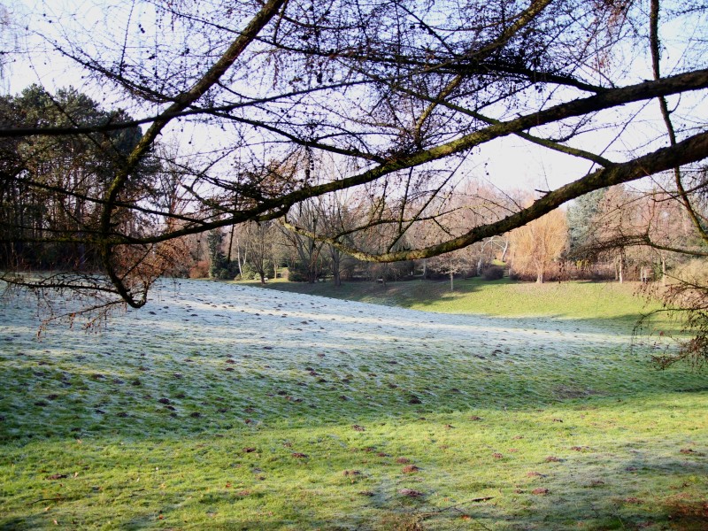 Große Grünflächen prägen den Dortmunder Hauptfriedhof.