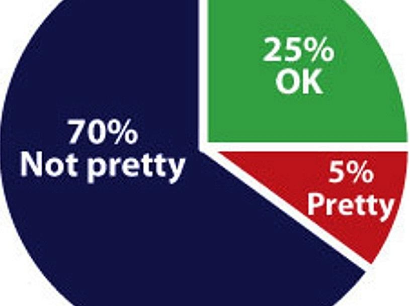 Nur fünf Prozent der Menschen sind schön, 70 Prozent nicht. So einfach ist das, behaupten die Betreiber von TheUglyBugBall.net. (Screenshot vom Online-Portal)