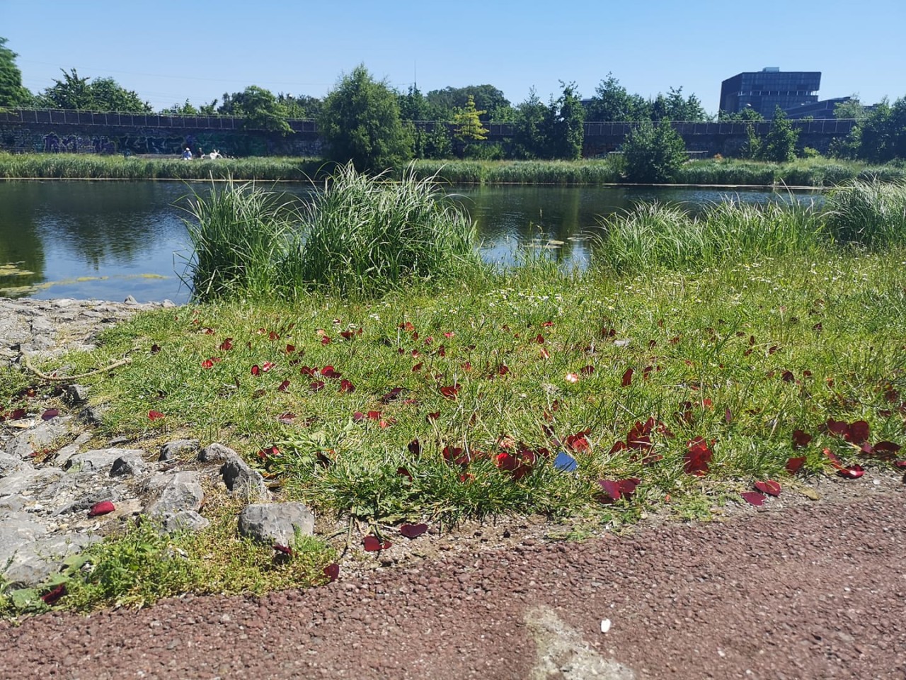 Essen: Diese Plastik-Herzchen fand ein Facebook-User im Krupp-Park vor.