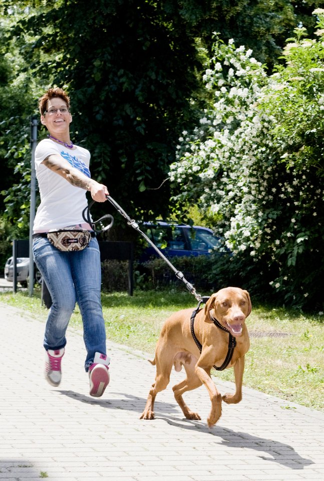 Leben_Hunde_14860200ED824268.jpg
