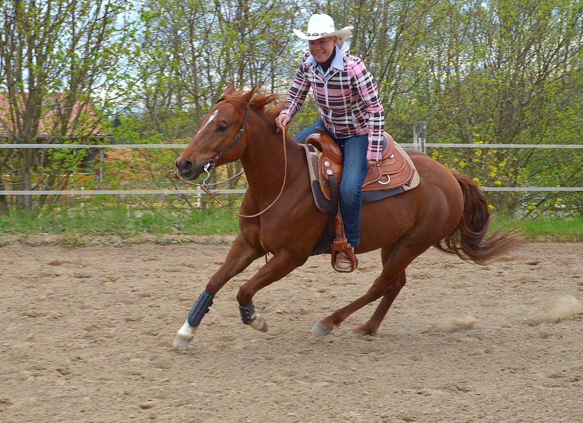 Leben_Reiten_148998001DD8CE88.jpg